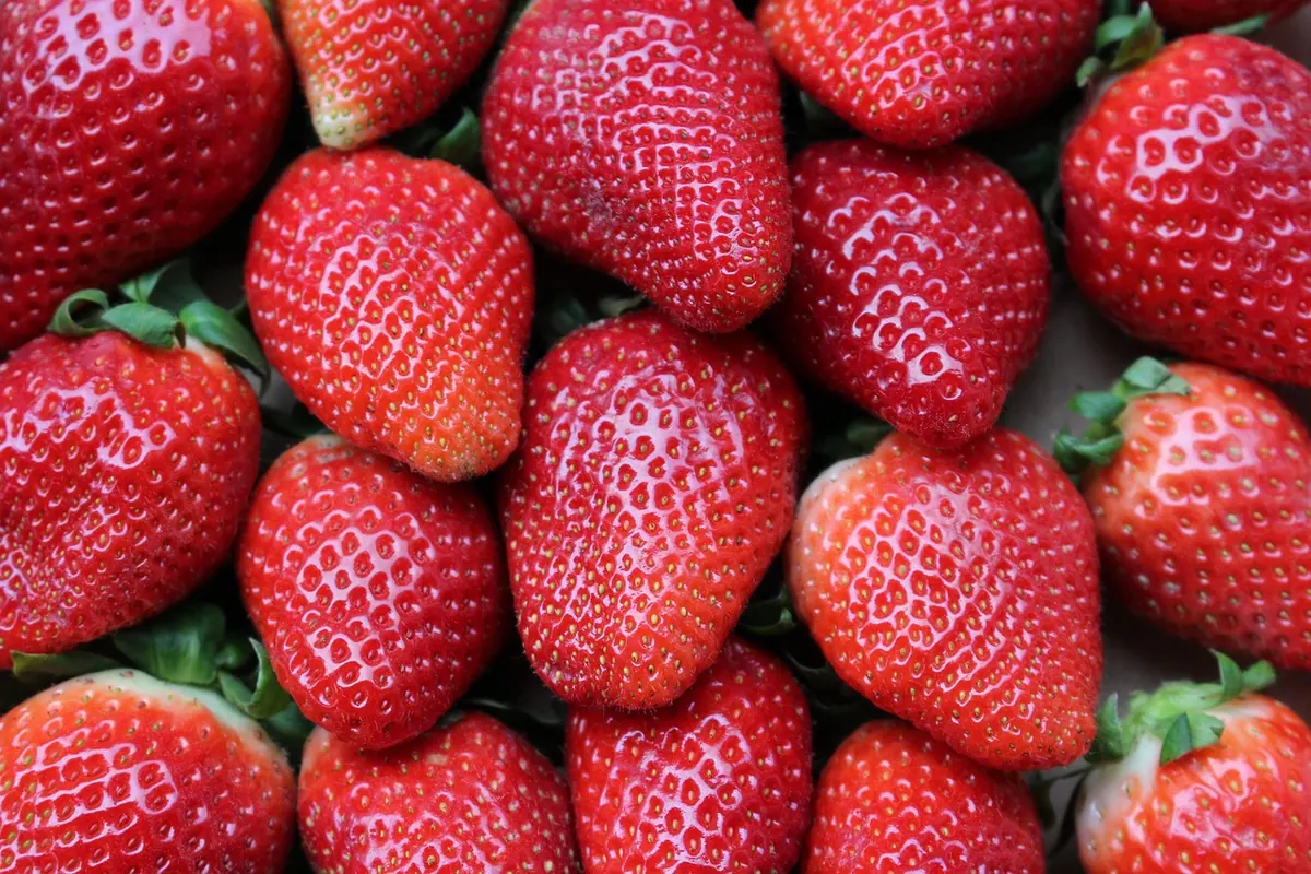 What Is Mindful Eating? A Simple Explainer for Beginners